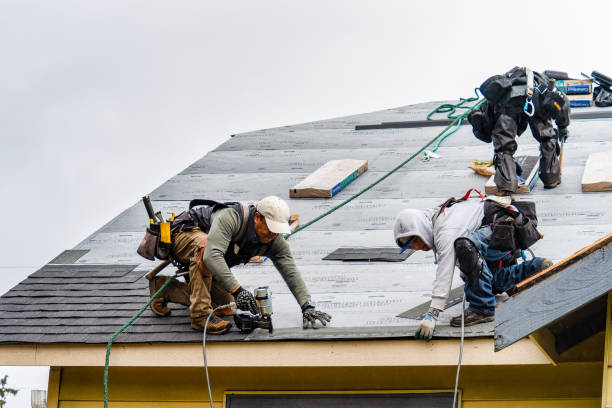 Professional Roofing technician working in Hollis Center, ME